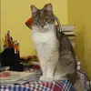 Отзыв от Зинаида Петрова